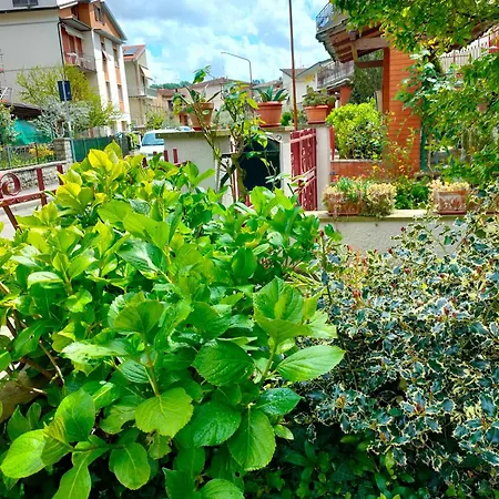 Appartement Casa Anna